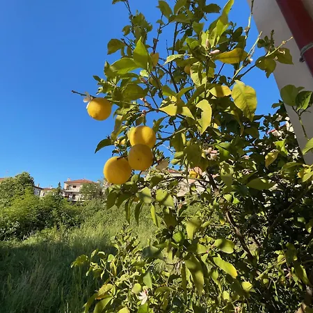Appartement Mariposa Afytos