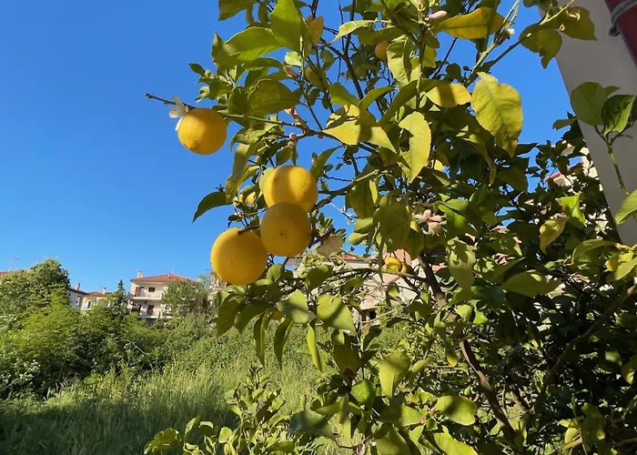 Apartamento Mariposa Áfitos